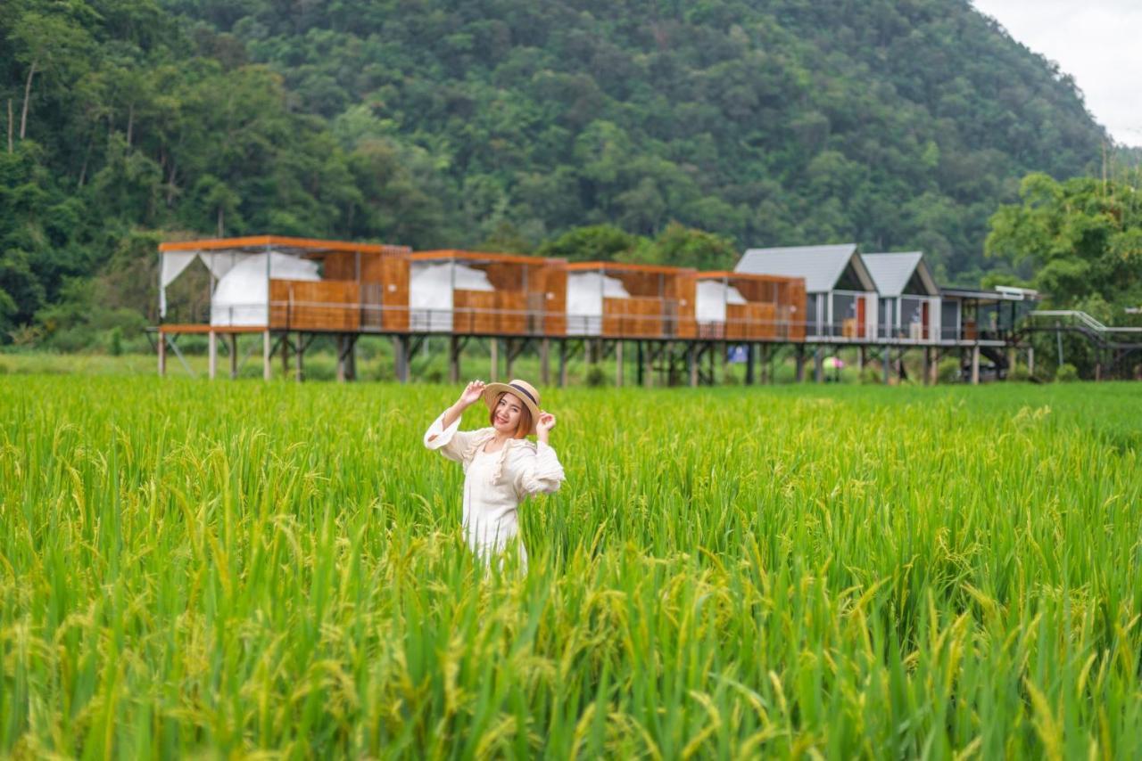 Hotel เนเจอร์วัลเล่ย์แคมป์ ปางมะผ้า Exterior foto