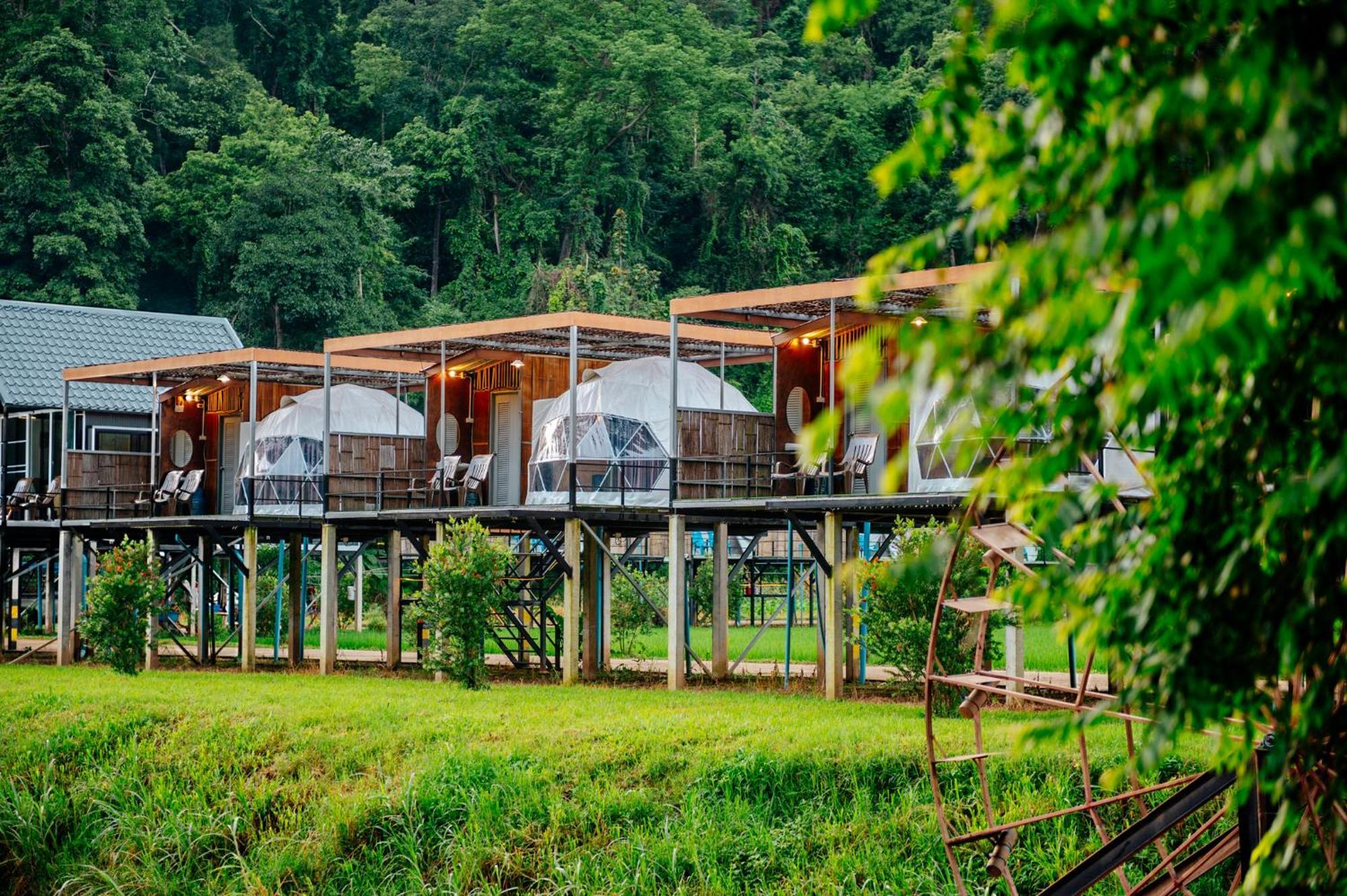 Hotel เนเจอร์วัลเล่ย์แคมป์ ปางมะผ้า Exterior foto