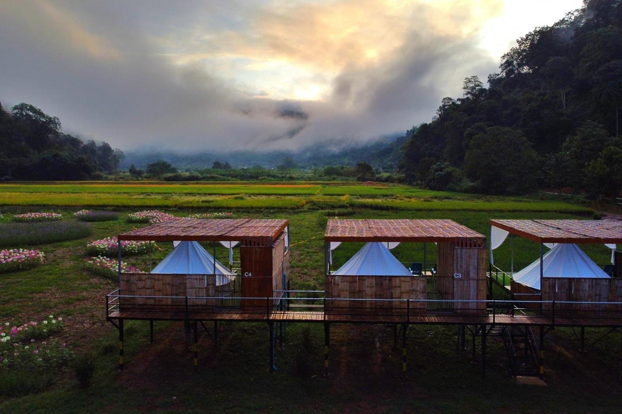 Hotel เนเจอร์วัลเล่ย์แคมป์ ปางมะผ้า Exterior foto