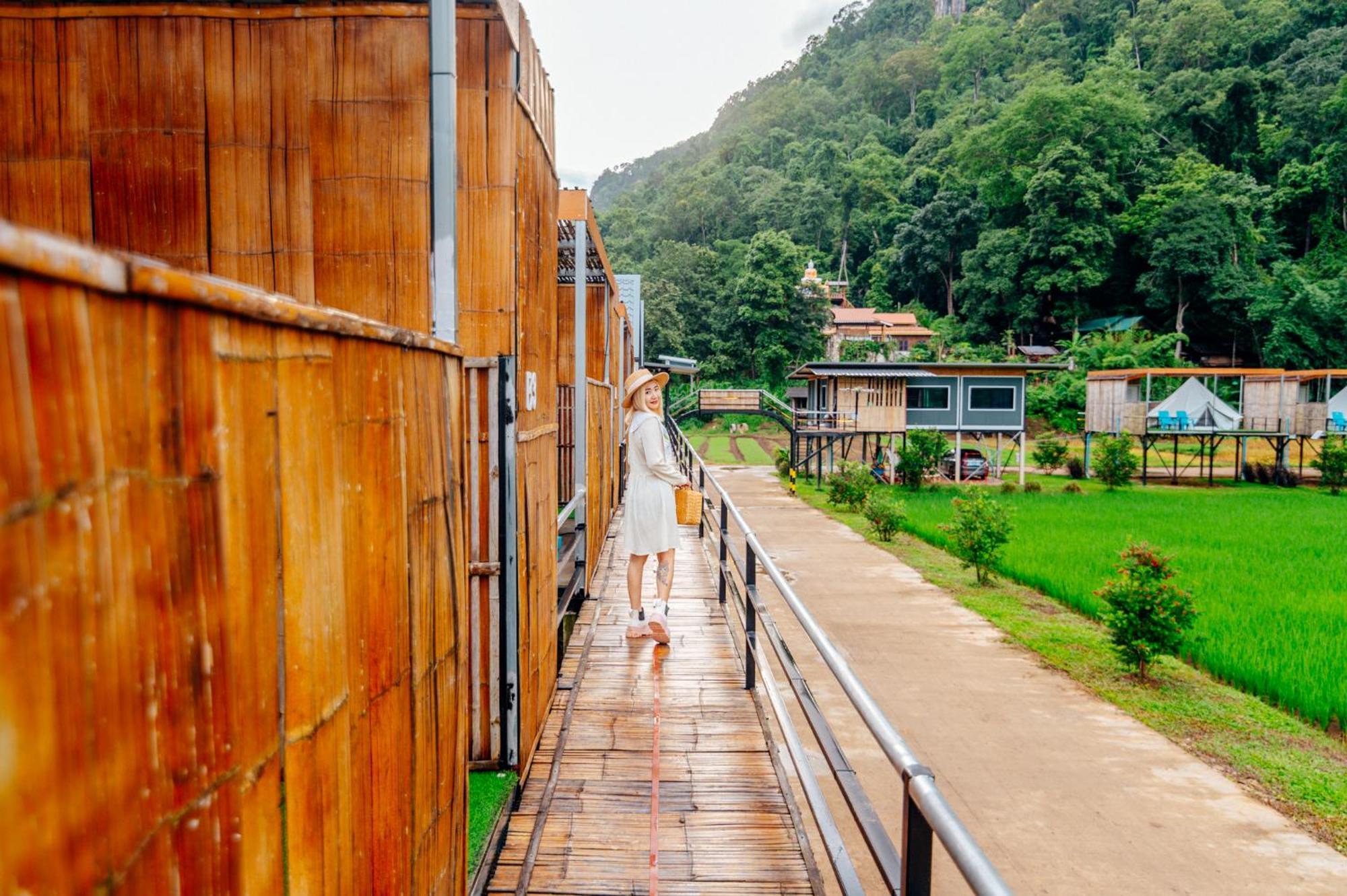 Hotel เนเจอร์วัลเล่ย์แคมป์ ปางมะผ้า Exterior foto