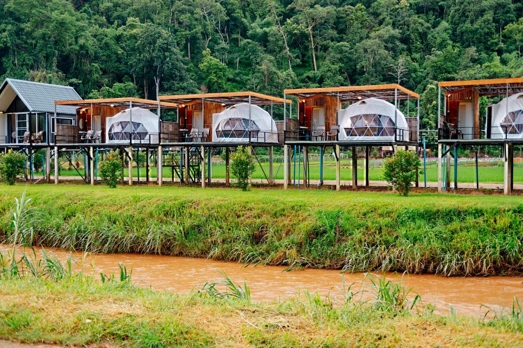 Hotel เนเจอร์วัลเล่ย์แคมป์ ปางมะผ้า Exterior foto